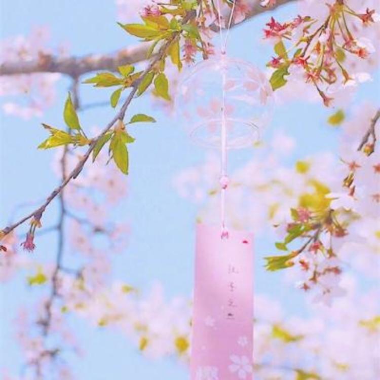深水元基（饰 未知角色） - 独家访谈节目在线观看 - 电脑追剧